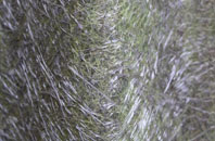 North Connel fibreglass roof work